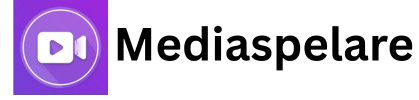 mediaspelare